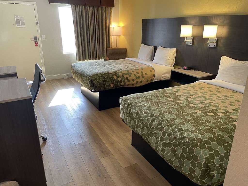 Econo Lodge White Pine Morristown I-81 & I-40 Split Kamer foto